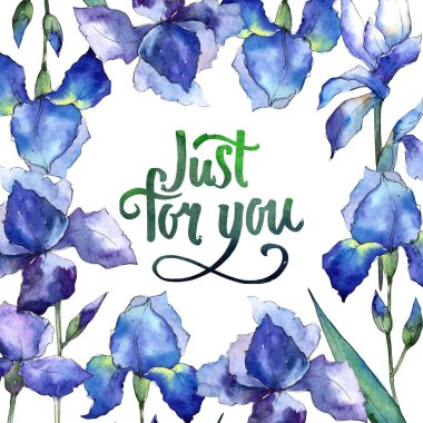 Kır çiçeği Iris çiçek çerçeve suluboya tarzında.