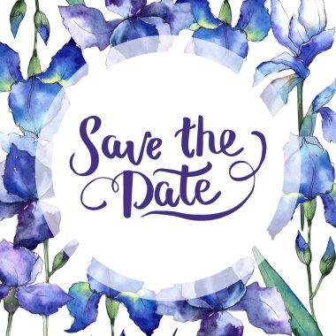 Kır çiçeği Iris çiçek çerçeve suluboya tarzında.