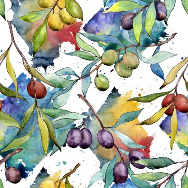 Zeytin ağacı desen suluboya tarzında.