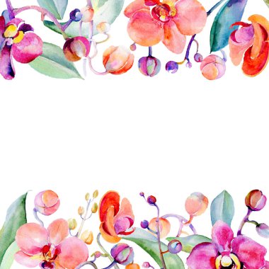 Kır çiçeği orkide çiçek çerçeve suluboya tarzında.