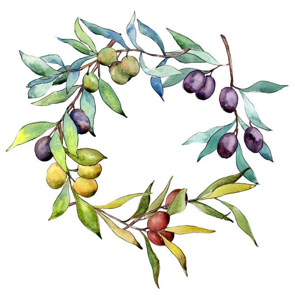 Olive tree krans i akvarell stil. — Stockfoto