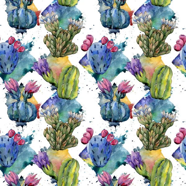 Patrón de flores de cactus de flor silvestre en un estilo de acuarela . — Foto de Stock