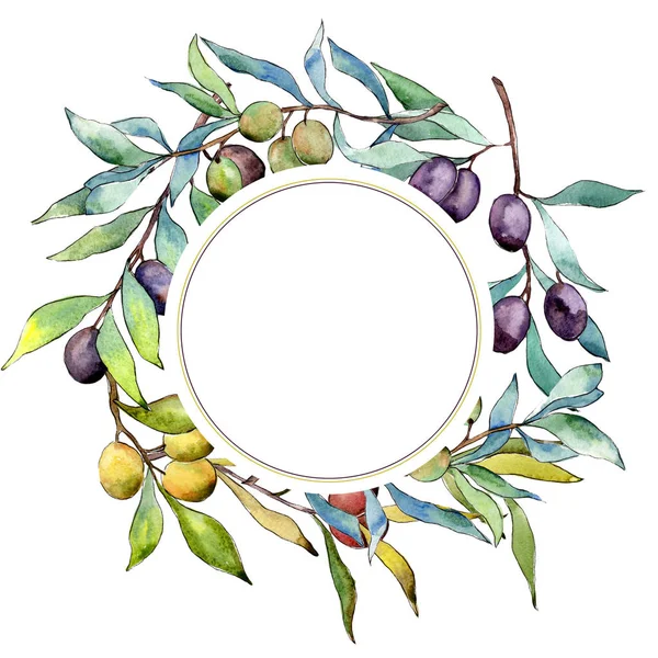 Olive tree frame in a watercolor style. — Stock Photo, Image