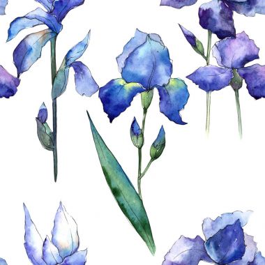 Kır çiçeği Iris çiçek deseni suluboya tarzında.