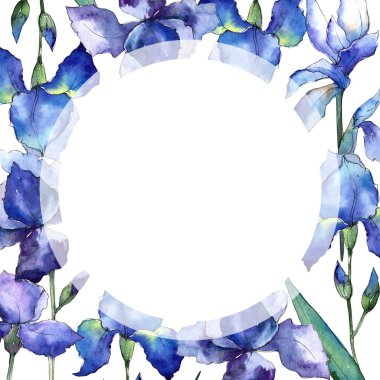 Kır çiçeği Iris çiçek çerçeve suluboya tarzında.