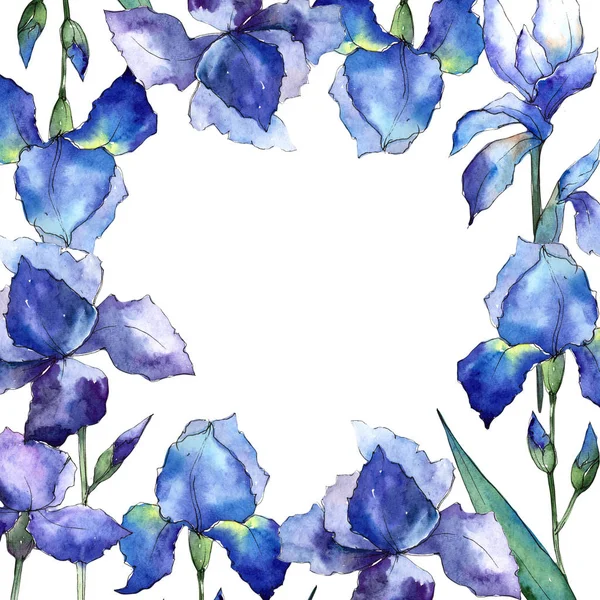 Kır çiçeği Iris çiçek çerçeve suluboya tarzında. — Stok fotoğraf