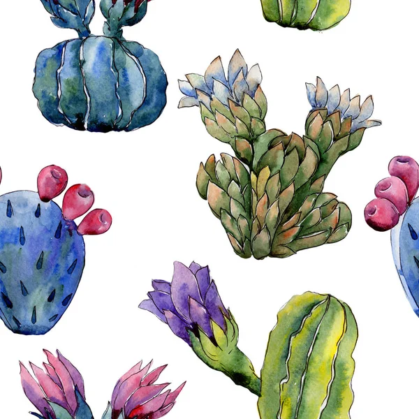 Modèle de fleur de cactus de fleur sauvage dans un style aquarelle . — Photo