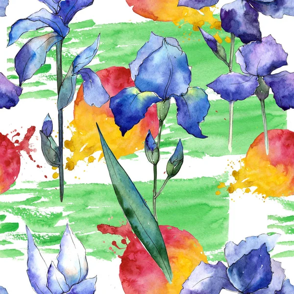 Kır çiçeği Iris çiçek deseni suluboya tarzında. — Stok fotoğraf