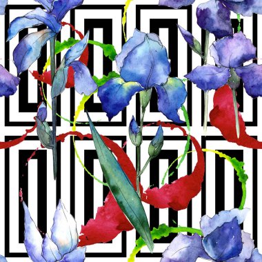 Kır çiçeği Iris çiçek deseni suluboya tarzında.