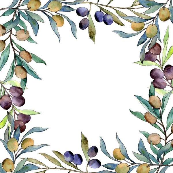 Olive tree frame in a watercolor style.