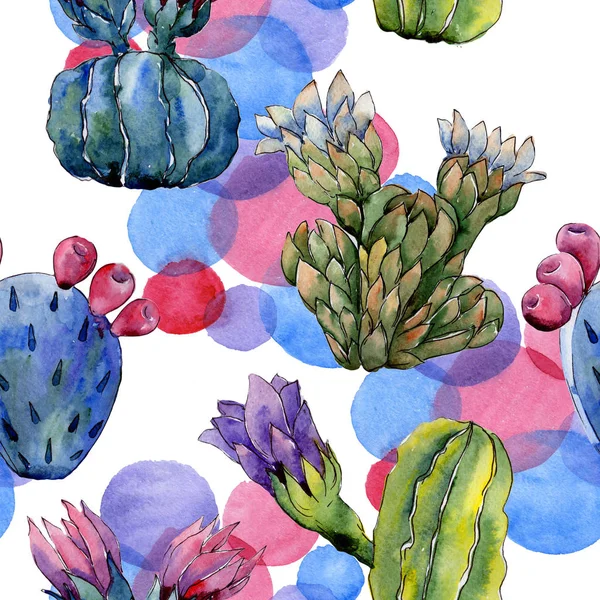 水彩画のワイルドフラワー サボテンの花のパターン. — ストック写真