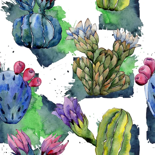 Modèle de fleur de cactus de fleur sauvage dans un style aquarelle . — Photo