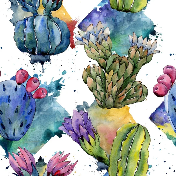 Modèle de fleur de cactus de fleur sauvage dans un style aquarelle . — Photo