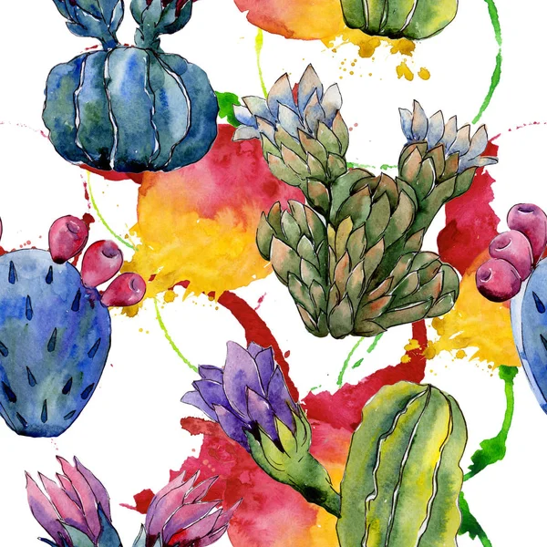 Wildflower cactus flower pattern in a watercolor style. — Stock Photo, Image