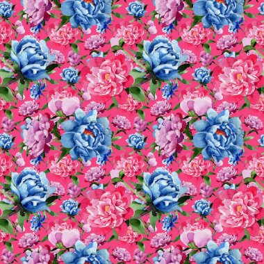 Kır çiçeği pembe peony çiçek deseni suluboya tarzında.