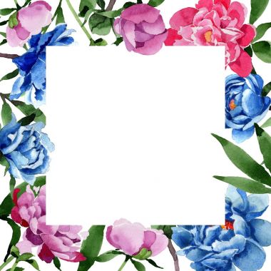 Kır çiçeği pembe Şakayık çiçeği çerçeve suluboya tarzında.