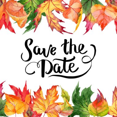 Akçaağaç yaprakları çerçeve suluboya tarzında.