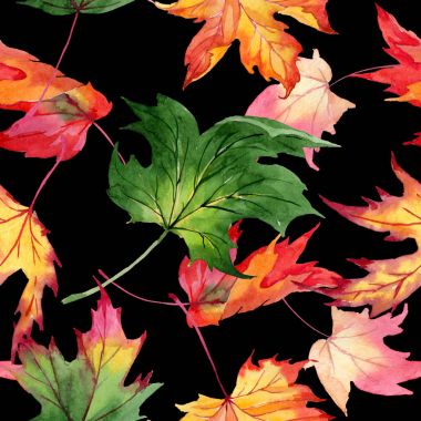 Akçaağaç yaprağı deseni suluboya tarzında.