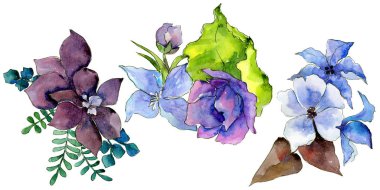 Çiçek kompozisyon izole bir suluboya tarzında.