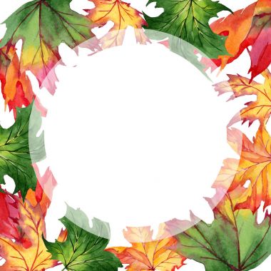 Akçaağaç yaprakları çerçeve suluboya tarzında.