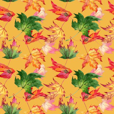 Akçaağaç yaprağı deseni suluboya tarzında.