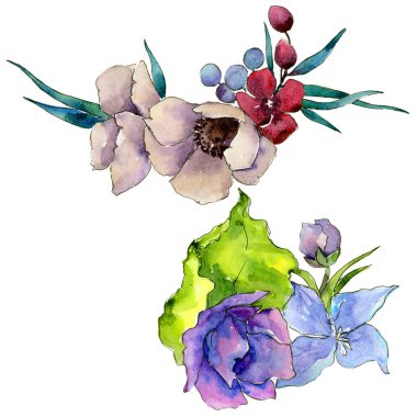 Çiçek kompozisyon izole bir suluboya tarzında.