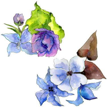 Çiçek kompozisyon izole bir suluboya tarzında.