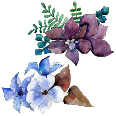 Çiçek kompozisyon izole bir suluboya tarzında.