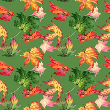 Akçaağaç yaprağı deseni suluboya tarzında.