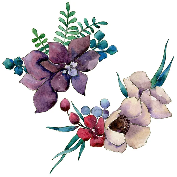 Composição da flor em um estilo aquarela isolado . — Fotografia de Stock