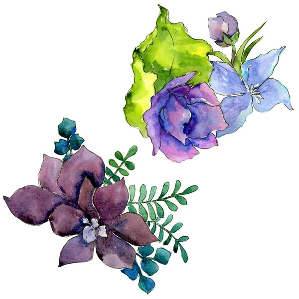 Çiçek kompozisyon izole bir suluboya tarzında.