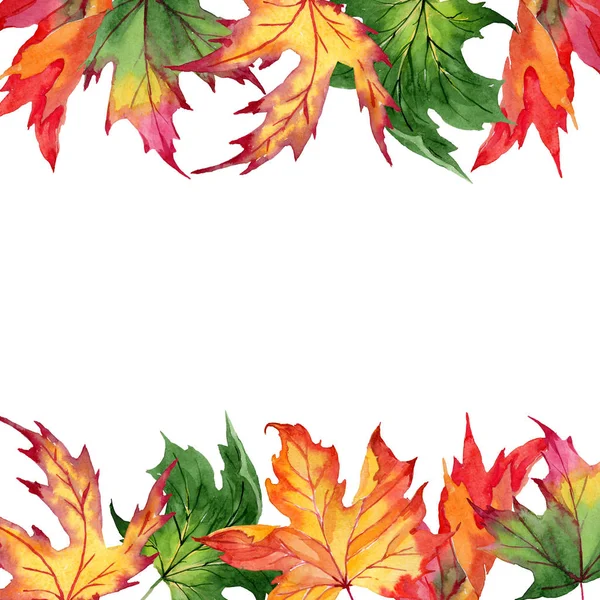 Maple leaves frame in a watercolor style. — Stock Photo, Image
