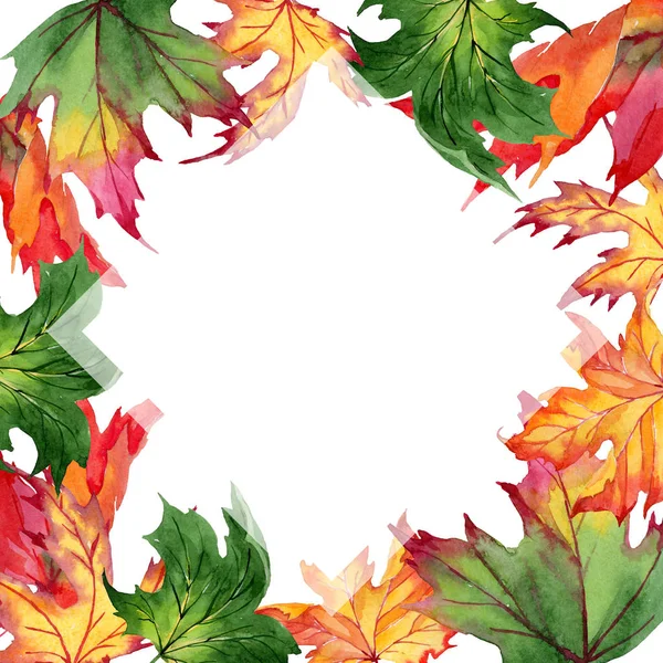 Akçaağaç yaprakları çerçeve suluboya tarzında.