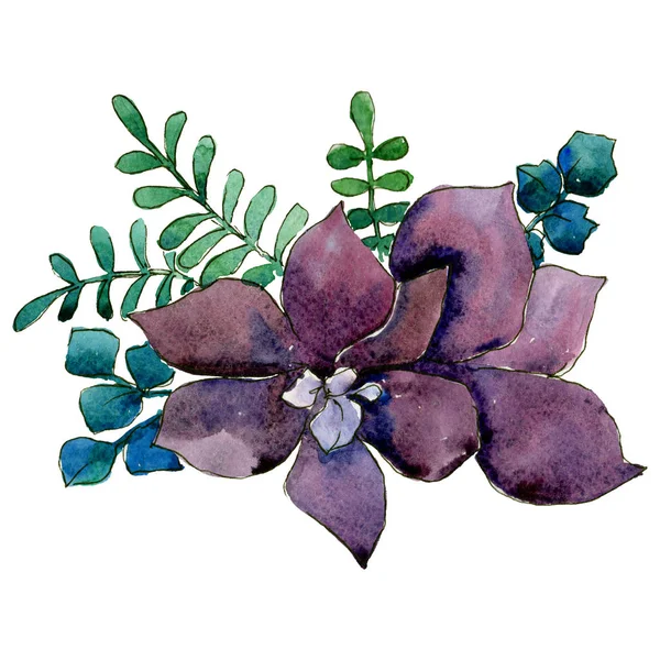 Çiçek kompozisyon izole bir suluboya tarzında.