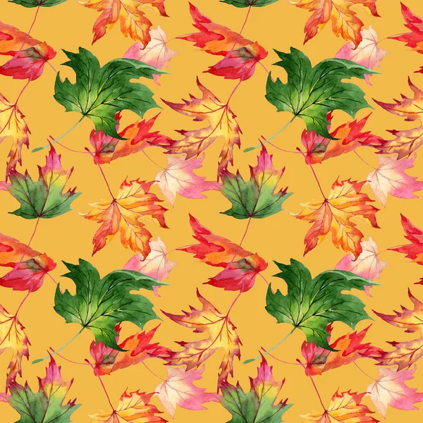 Akçaağaç yaprağı deseni suluboya tarzında.