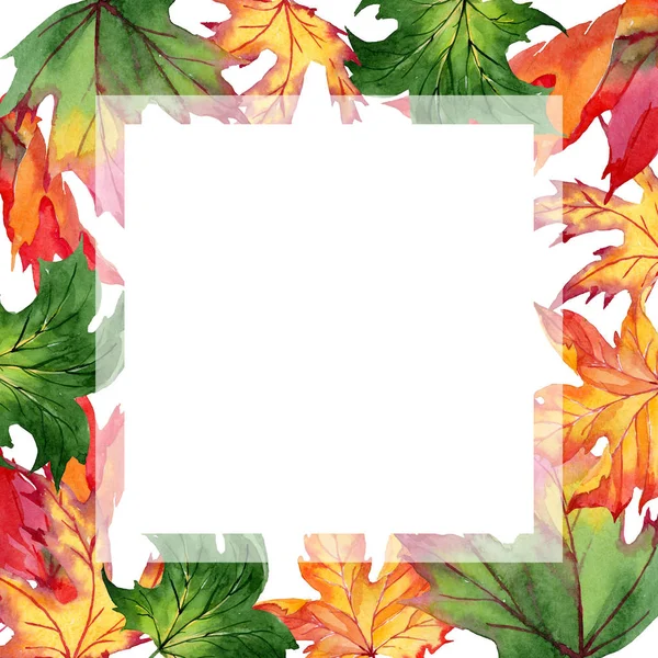 Akçaağaç yaprakları çerçeve suluboya tarzında.