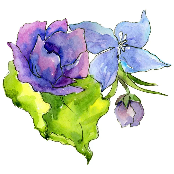 Composição da flor em um estilo aquarela isolado . — Fotografia de Stock