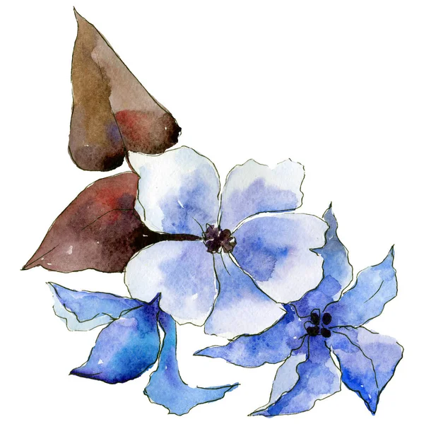 Blomma sammansättning i akvarell stil isolerade. — Stockfoto
