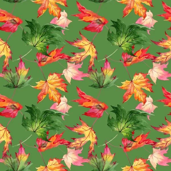 Akçaağaç yaprağı deseni suluboya tarzında.