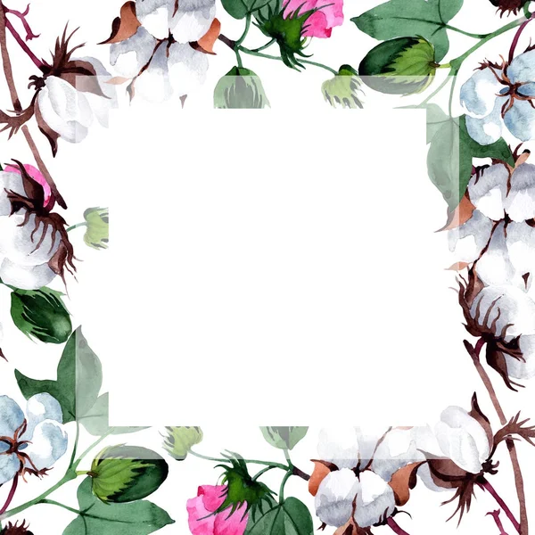 Cotton with flower frame in a watercolor style.