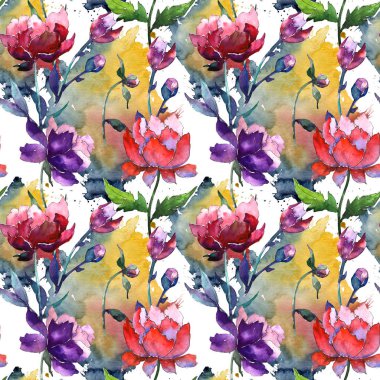 Kır çiçeği peony çiçek deseni suluboya tarzında.