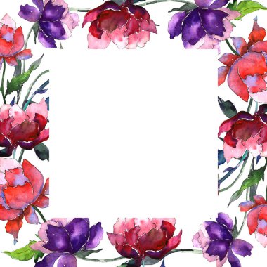 Kır çiçeği Şakayık çiçeği çerçeve suluboya tarzında.