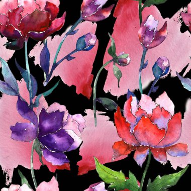 Kır çiçeği peony çiçek deseni suluboya tarzında.