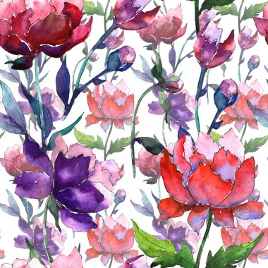 Kır çiçeği peony çiçek deseni suluboya tarzında.