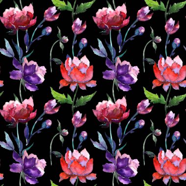 Kır çiçeği peony çiçek deseni suluboya tarzında.