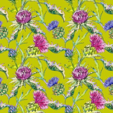 Kır çiçeği thistle çiçek deseni suluboya tarzında.
