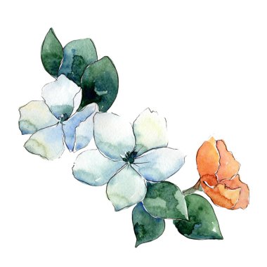 Çiçek kompozisyon izole bir suluboya tarzında.