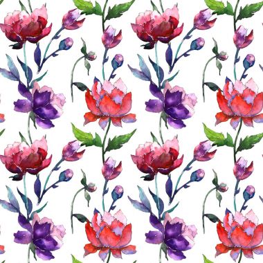 Kır çiçeği peony çiçek deseni suluboya tarzında.