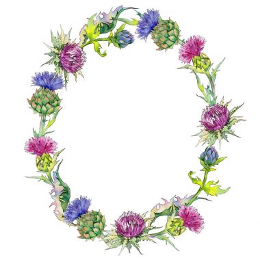 Kır çiçeği thistle çiçek çelenk suluboya tarzında.