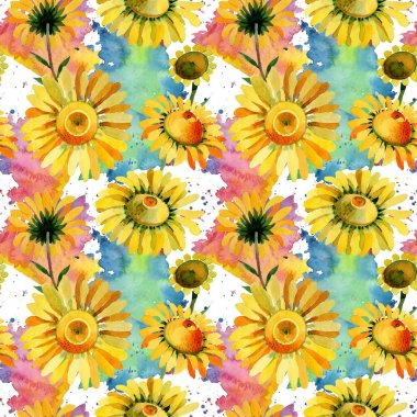 Kır çiçeği sarı papatya çiçek deseni suluboya tarzında.